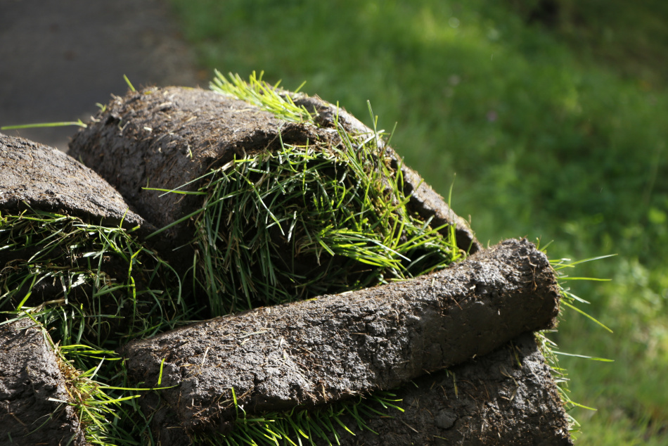 Озеленение стартовало у новой станции метро Юго-Западная в Петербурге